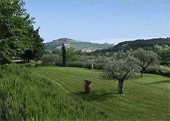 Le Vignole