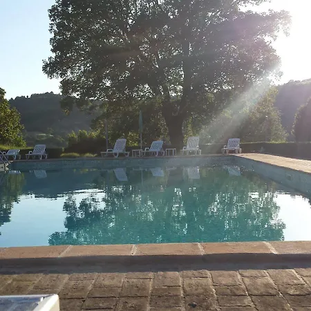 Le Vignole